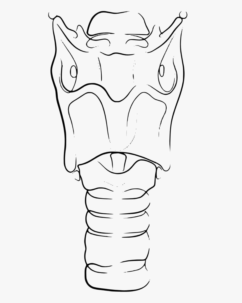 WhatsApp Image 2025-11-02 at 16.23.45